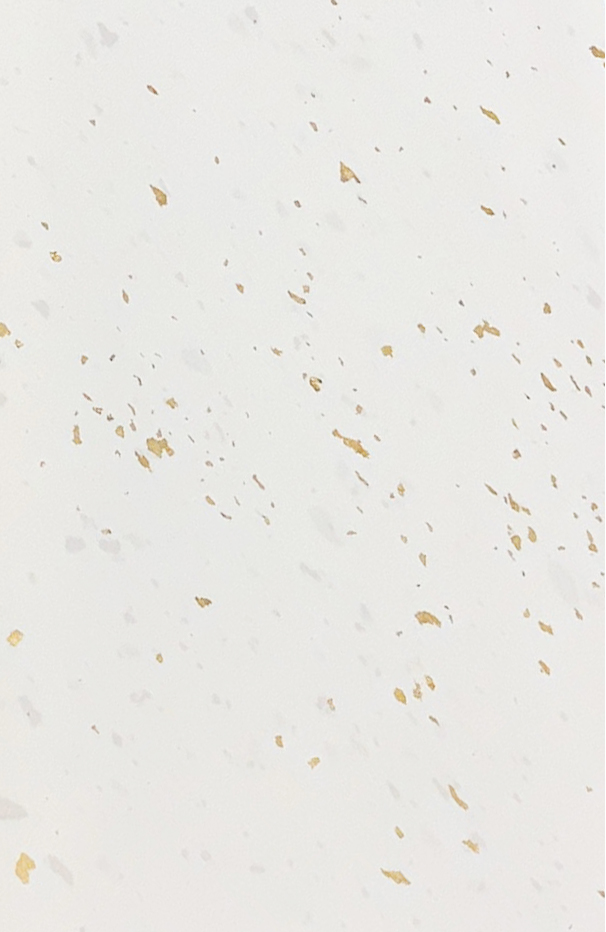 -70X135cm- 발묵潑墨-3단계 대만산 냉금지흰색 전지5장