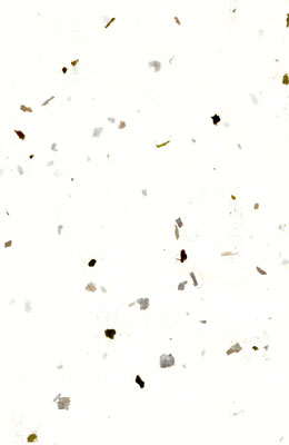 -75X145cm- 전지 흰색티지1장