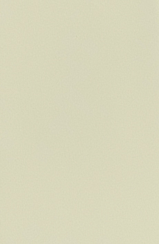 -70X135cm- 발묵潑墨-4단계 연레몬색색지 전지 10장