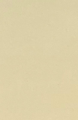 -70X135cm- 발묵潑墨-4단계 겨자색 색지 전지 10장