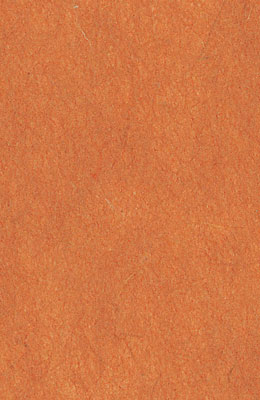 64X94cm/31 [색한지]나무색 5장