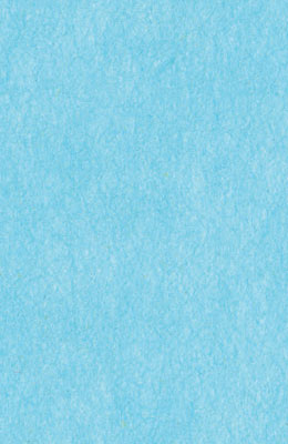 64X94cm/21 [색한지]연하늘색5장