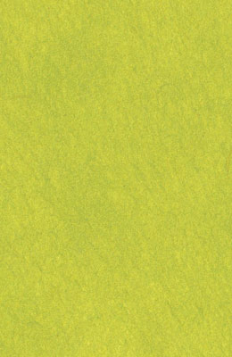 64X94cm/15 [색한지]배추색 5장