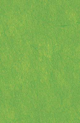 64X94cm/14 [색한지]연두색 5장