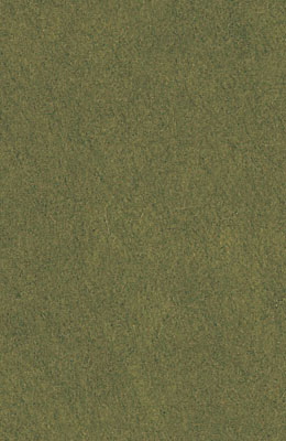 64X94cm/12 [색한지]풀잎색 5장