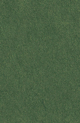 64X94cm/11 [색한지]솔잎색 5장