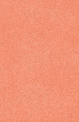 64X94cm/7 [색한지]살구색 5장