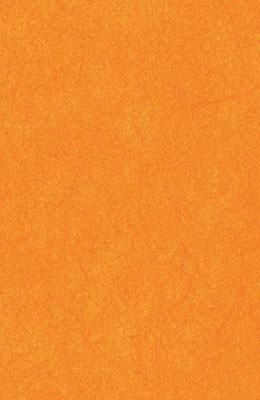 64X94cm/6 [색한지]귤색5장