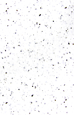 -65X100cm- 깨알티지10장