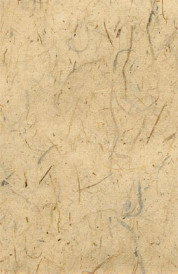 -65X100cm 진미색피지10장