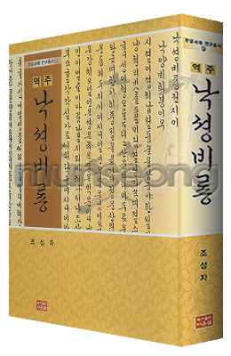 다운샘출판 역주 낙성비룡