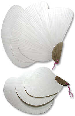 크기17X30cm 나비선(흰색)