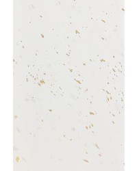 -70X135cm- 발묵潑墨-3단계 대만산 냉금지흰색 전지5장