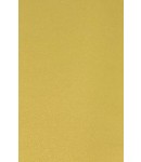 크기70X135cm 발묵潑墨-2단계 금지 金紙 2장