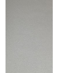 크기70X135cm 발묵潑墨-2단계 은지 金紙 2장