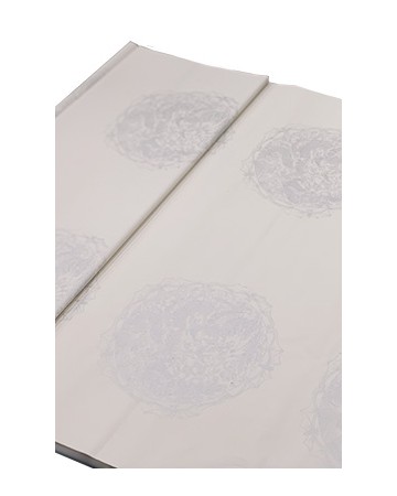 69.5X135cm 미색 5언 용·박쥐 5장