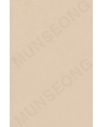 -70X135cm- 발묵潑墨-4단계  살구색  색지 전지 10장