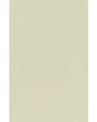 -70X135cm- 발묵潑墨-4단계 연레몬색색지 전지 10장