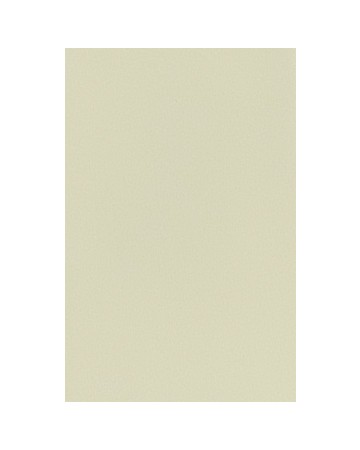 -70X135cm- 발묵潑墨-4단계 연레몬색색지 전지 10장