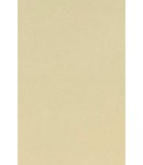 -70X135cm- 발묵潑墨-4단계 겨자색 색지 전지 10장