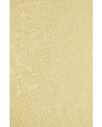 -70X135cm- 발묵潑墨-2단계 비단무늬지 연노랑전지2장