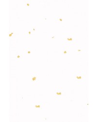 -70X135cm- 발묵潑墨-4단계 옥판선지흰색 냉금지전지10장