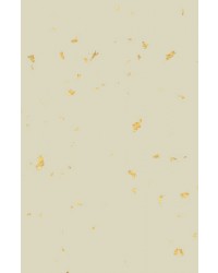 -70X135cm- 발묵潑墨-4단계 옥판선지 연커피색 냉금지 전지10장