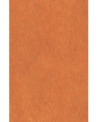 64X94cm/31 [색한지]나무색 5장