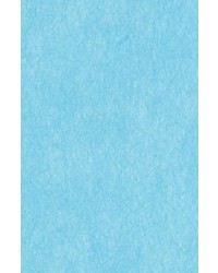 64X94cm/21 [색한지]연하늘색5장