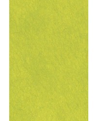 64X94cm/15 [색한지]배추색 5장