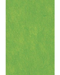 64X94cm/14 [색한지]연두색 5장