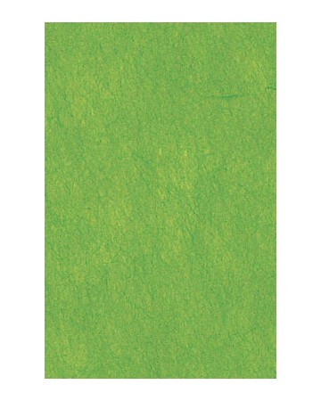 64X94cm/14 [색한지]연두색 5장