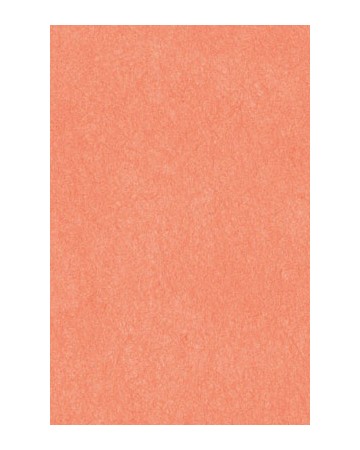 64X94cm/7 [색한지]살구색 5장
