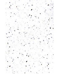 -65X100cm- 깨알티지10장