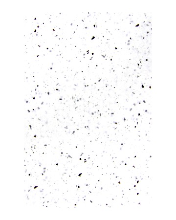 -65X100cm- 깨알티지10장