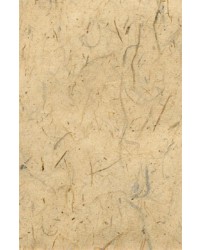 -65X100cm 진미색피지10장