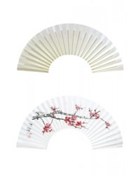 합죽선 전용 선면지